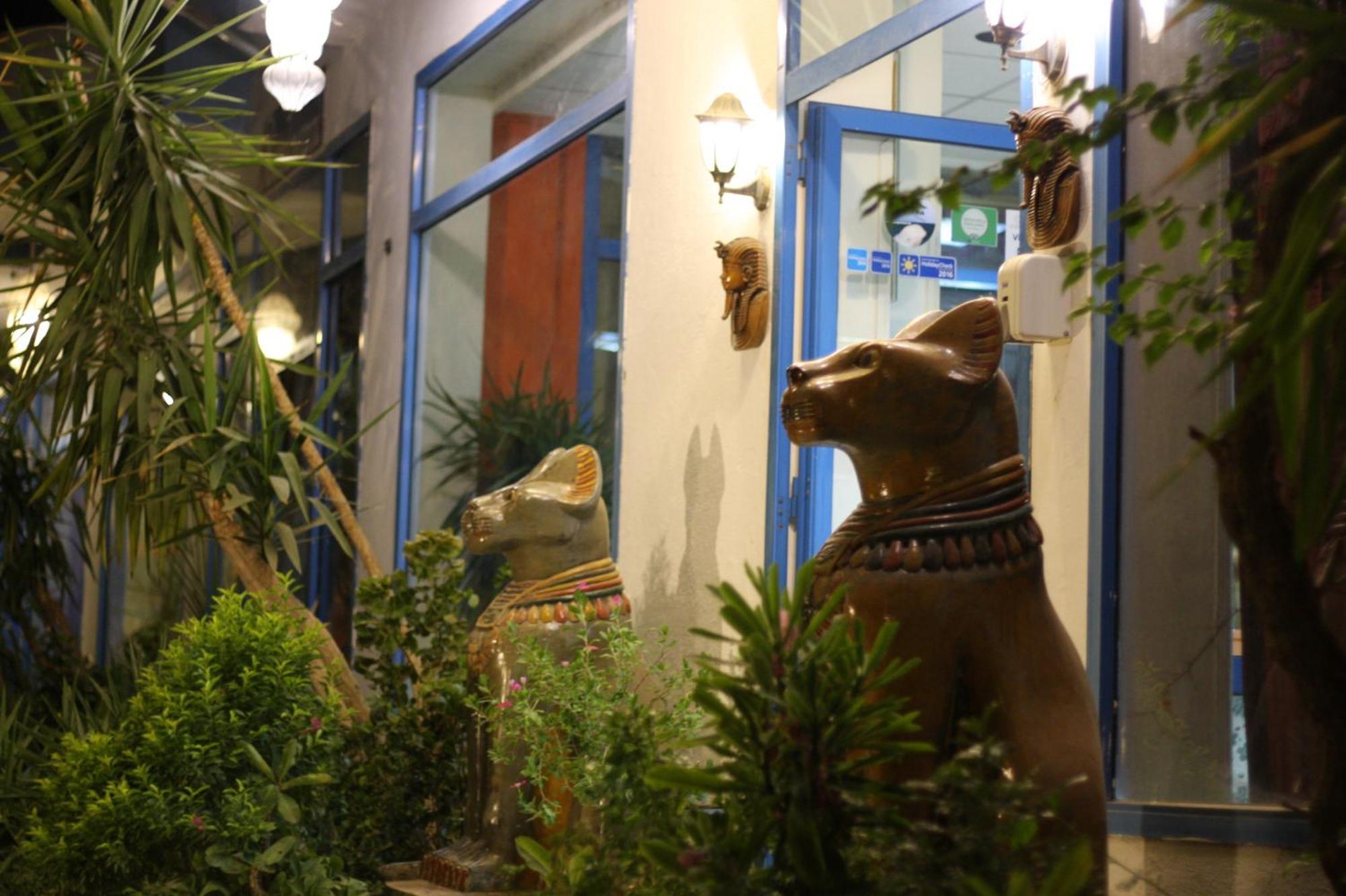 El Gezira Garden Hotel ลักซอร์ ภายนอก รูปภาพ