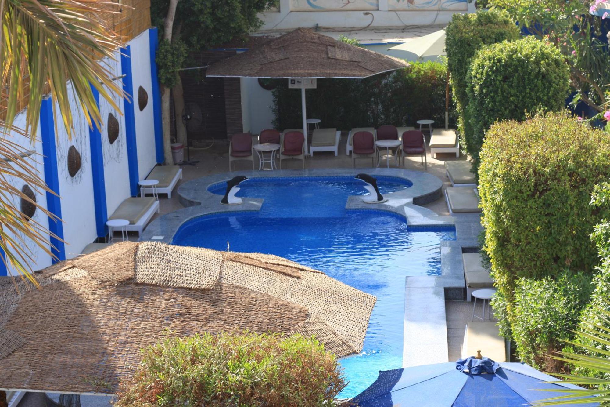 El Gezira Garden Hotel ลักซอร์ ภายนอก รูปภาพ